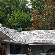 Picture 011